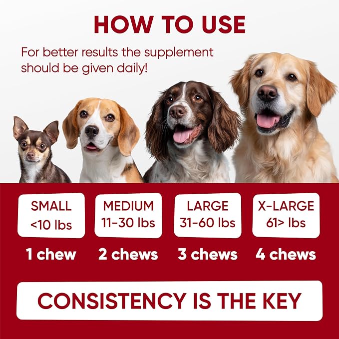 Probiotic & Enzymes Chews
