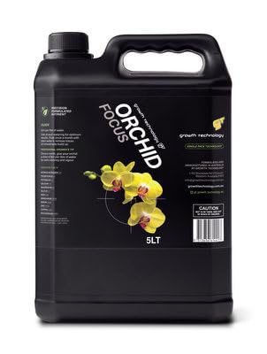 Orchid