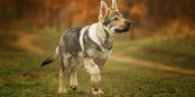 __DEFAULT__
