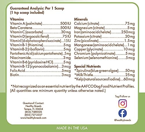 Affenpinscher