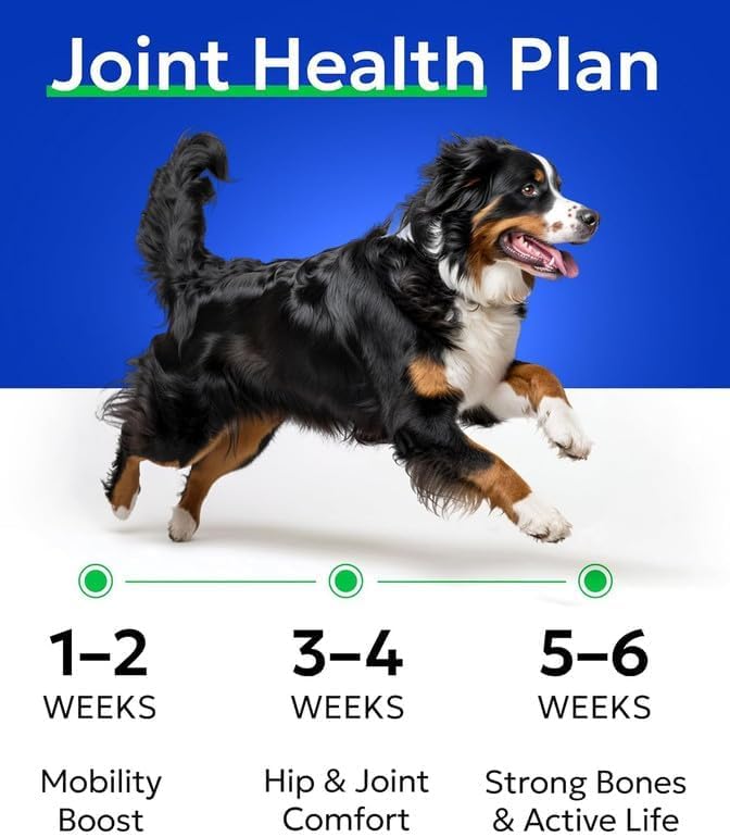 Hip&Joint (Mobility)