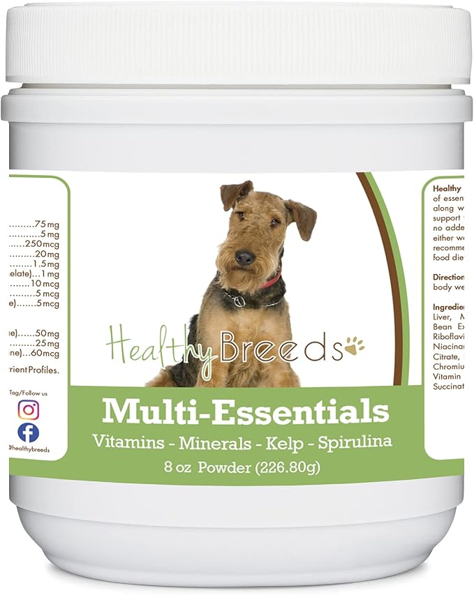 Airedale Terrier