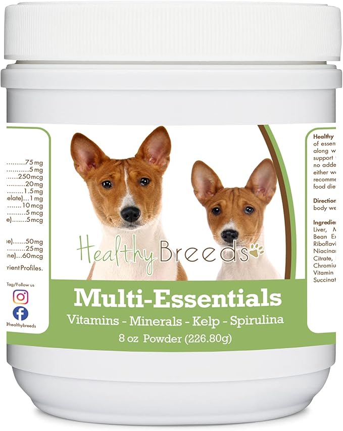 Basenji