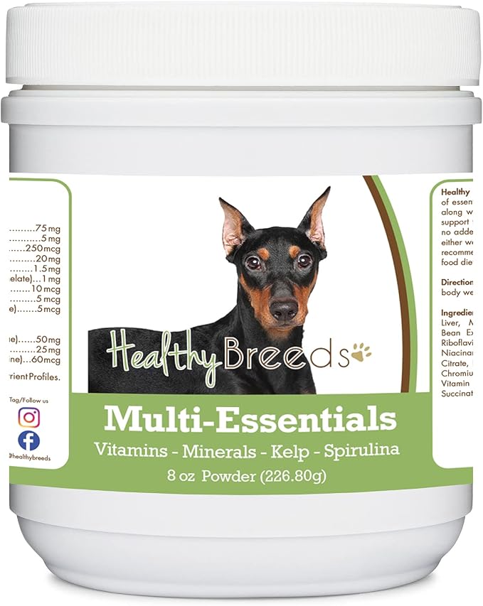 German Pinscher