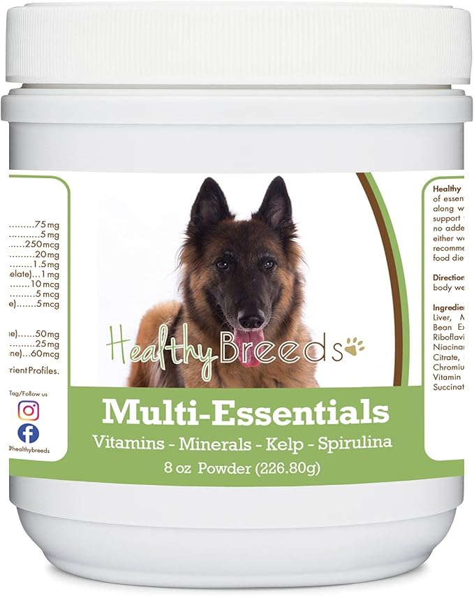 Belgian Tervuren