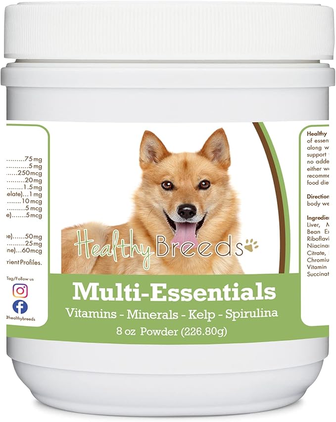 Finnish Spitz