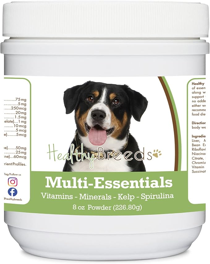 Entlebucher Mountain Dog