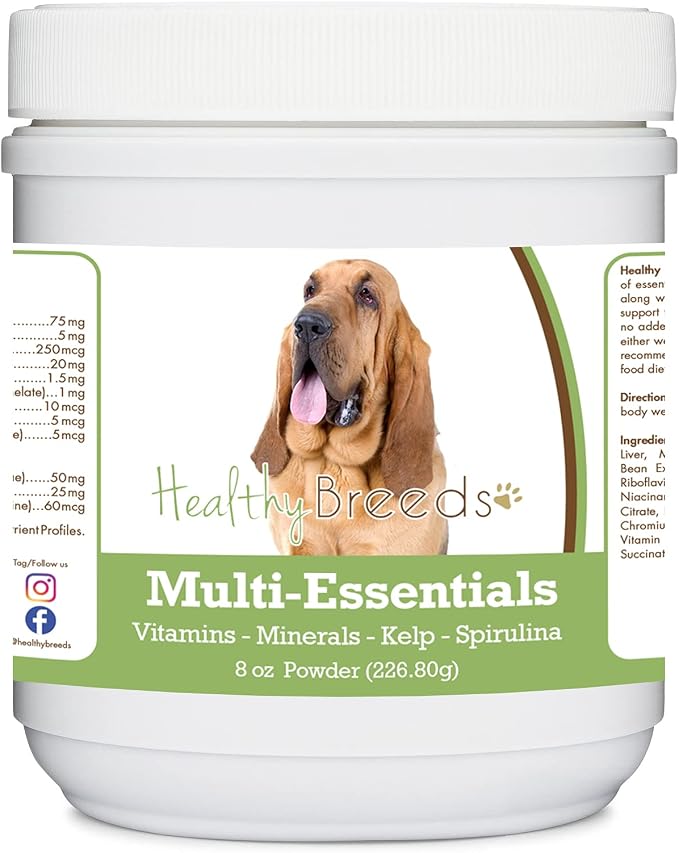 Bloodhound