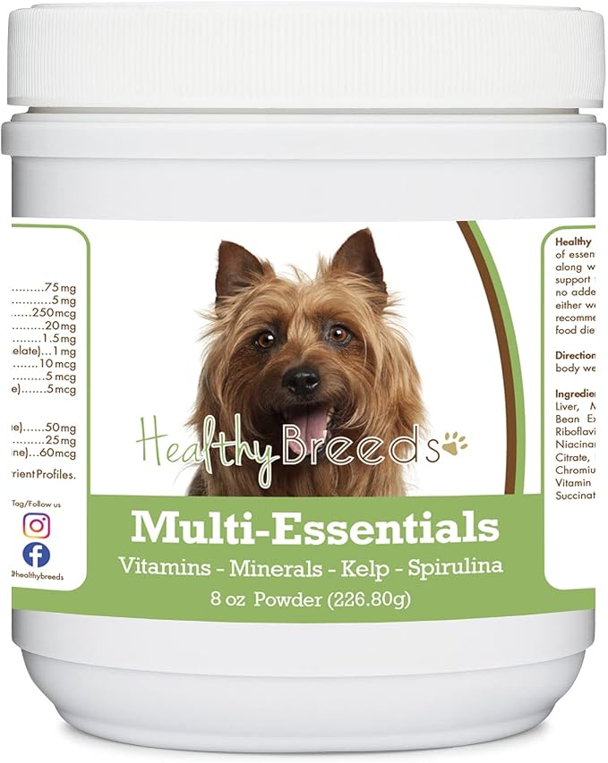 Australian Terrier