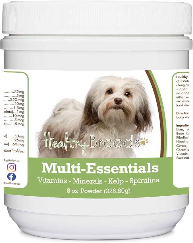Havanese
