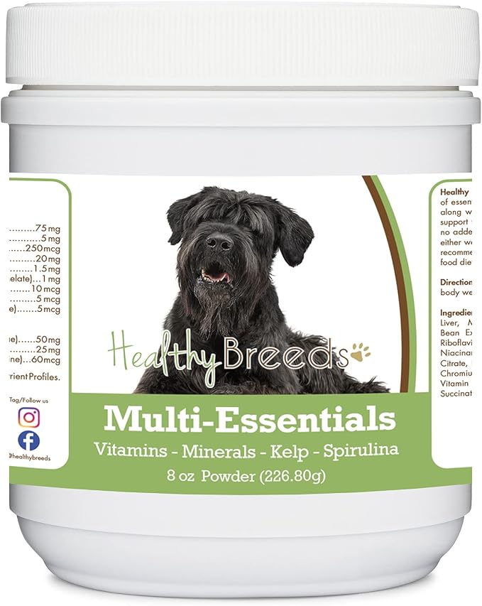 Black Russian Terrier