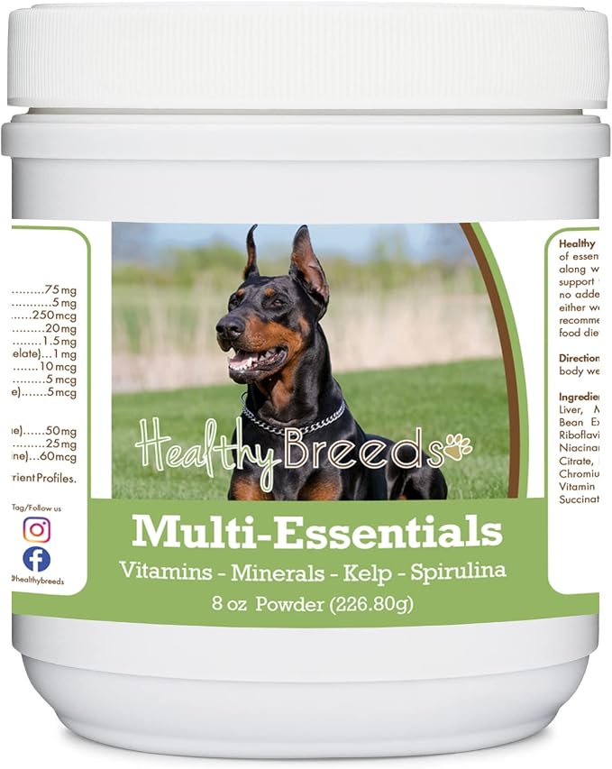 Doberman Pinscher, Black