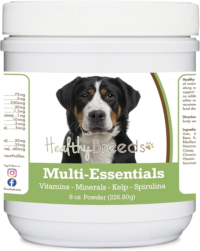 Greater Swiss Mountain Dog