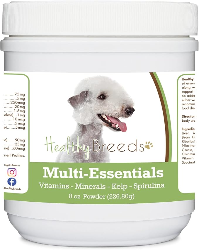 Bedlington Terrier