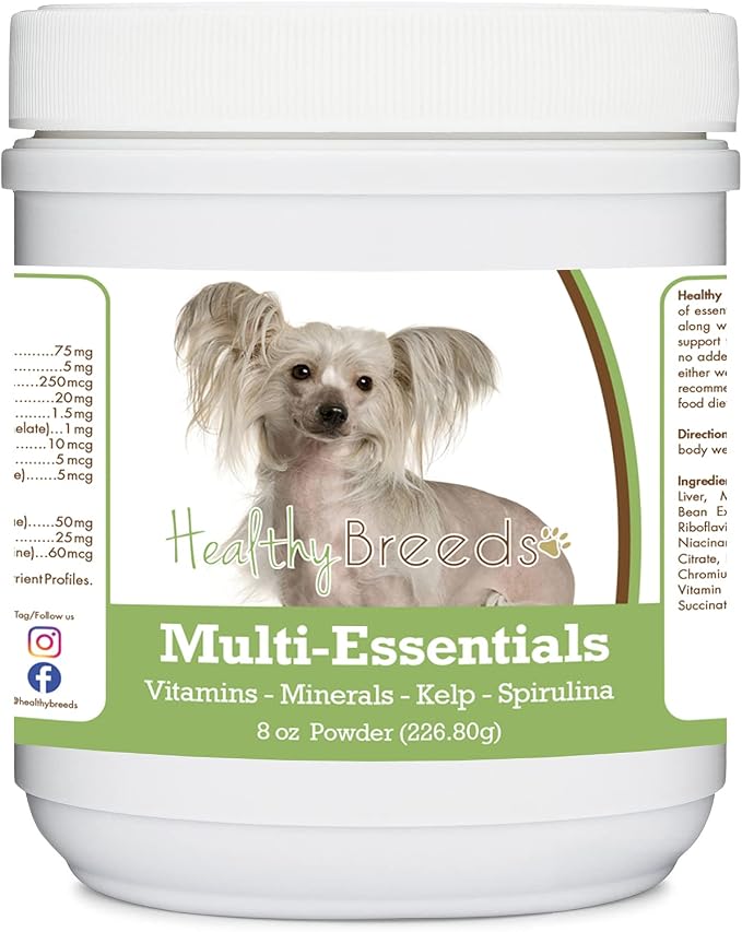 Chinese Crested
