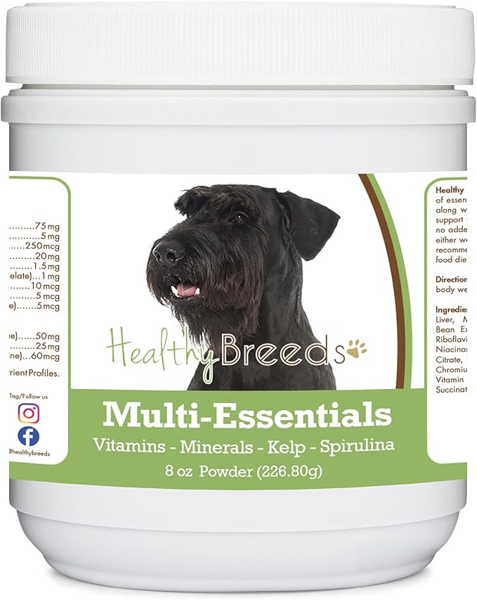 Giant Schnauzer