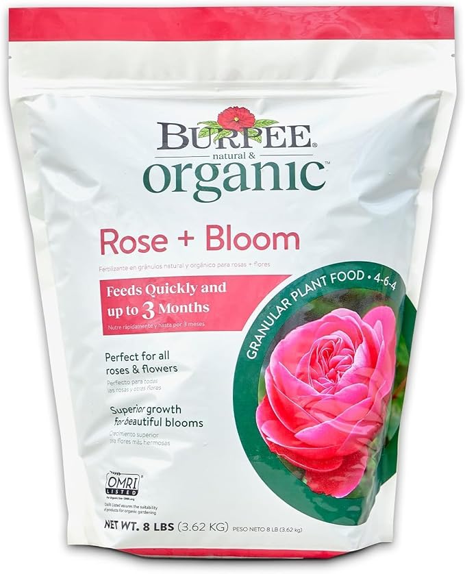 Rose & Bloom