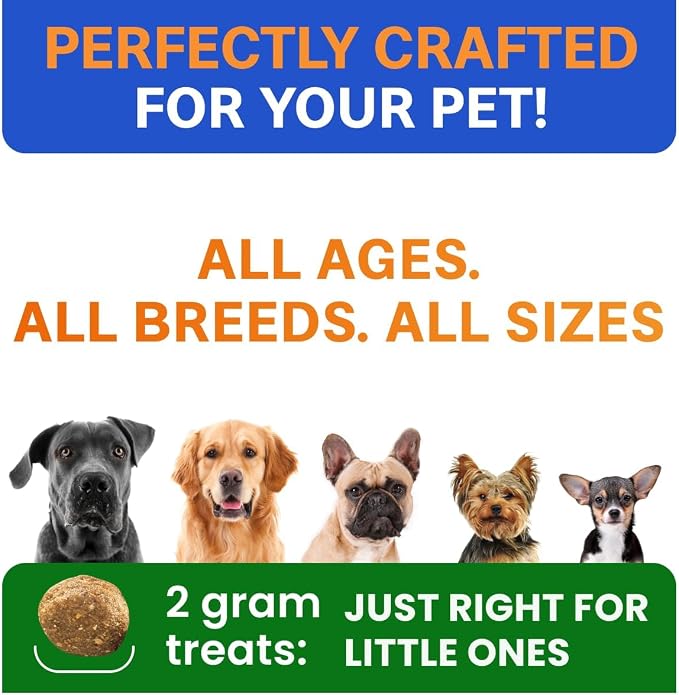 Probiotic Chews