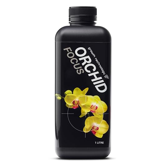 Orchid