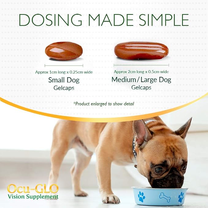 Medium to Large Dogs (11+ lbs)