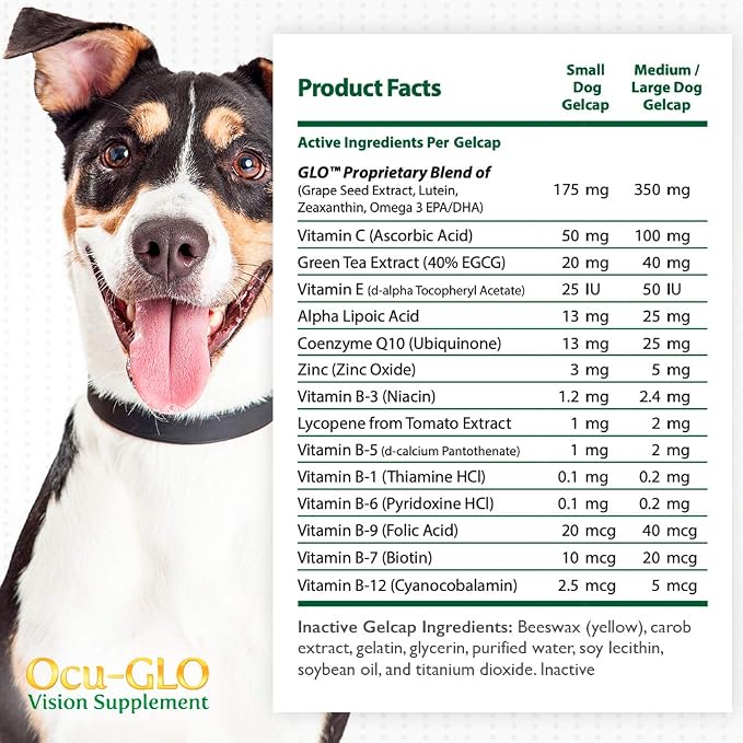 Medium to Large Dogs (11+ lbs)