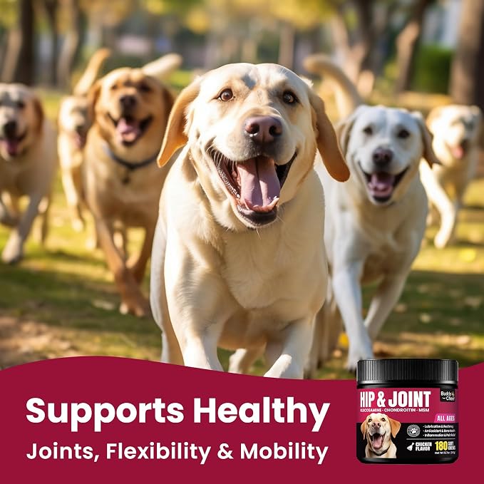 1.(HIP & JOINT) Mobility Chews