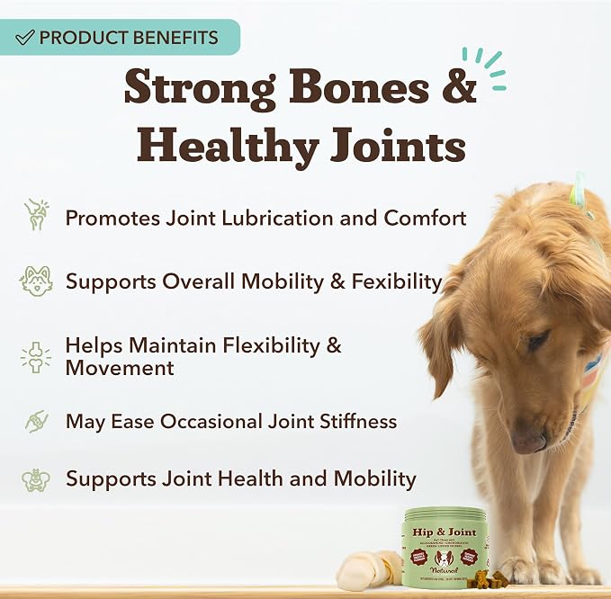 Hip and Joint