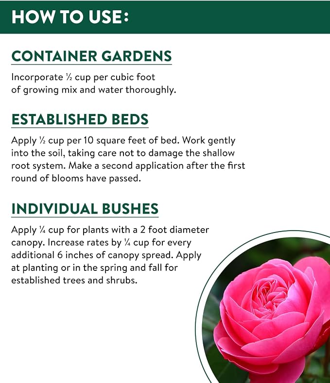 Rose & Bloom