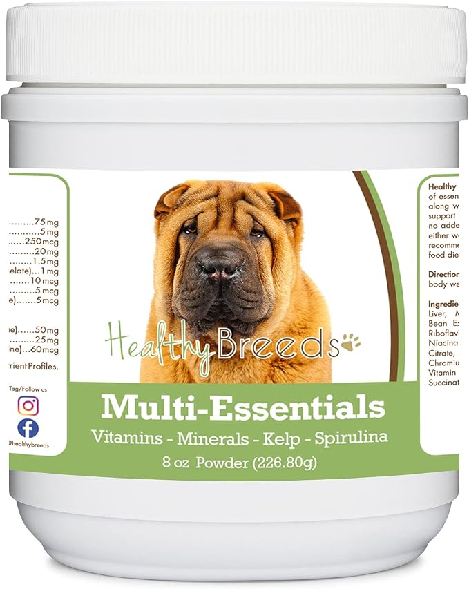 Chinese Shar Pei