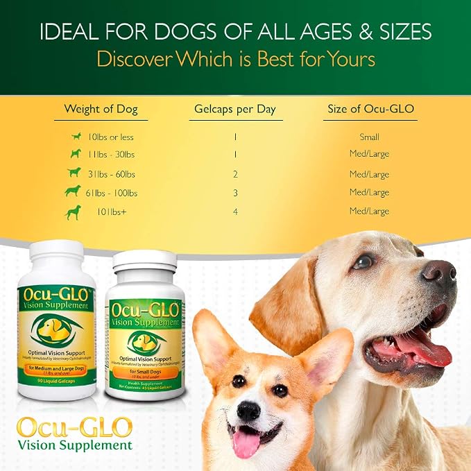 Medium to Large Dogs (11+ lbs)
