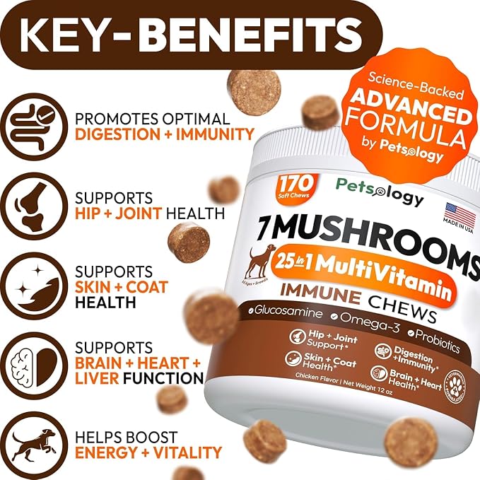 Mushroom Multivitamin