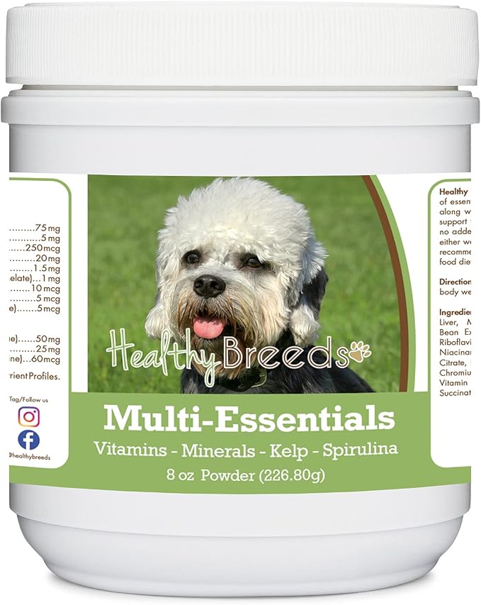 Dandie Dinmont Terrier
