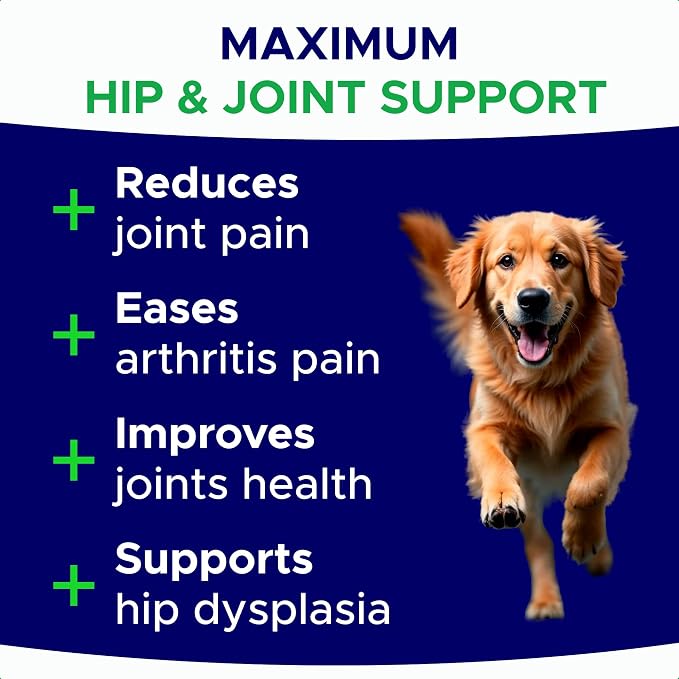Hip & Joint
