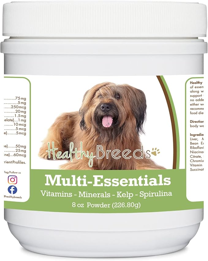Briard