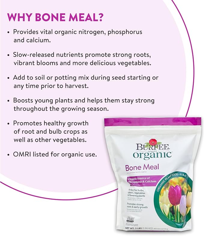 Bone Meal