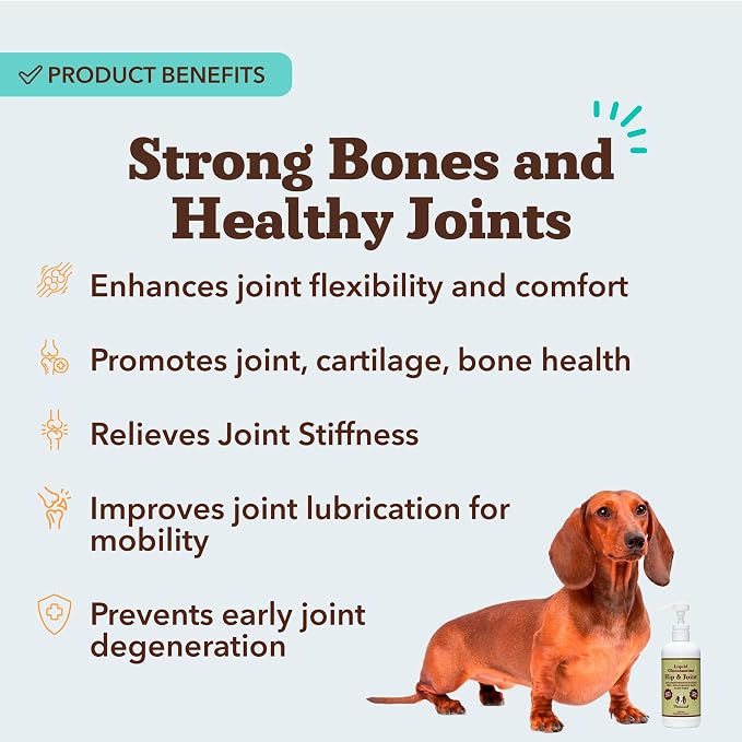 Hip and Joint