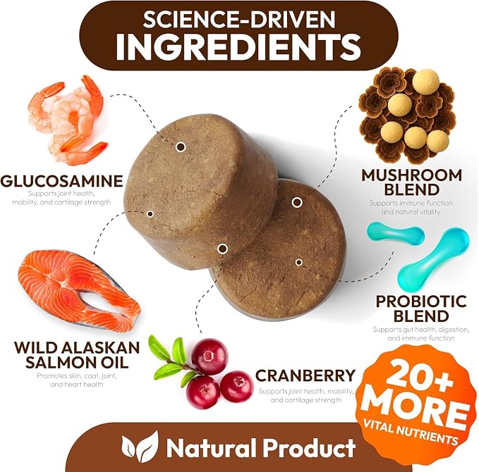Mushroom Multivitamin