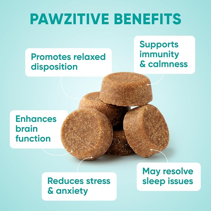 Calming Chews