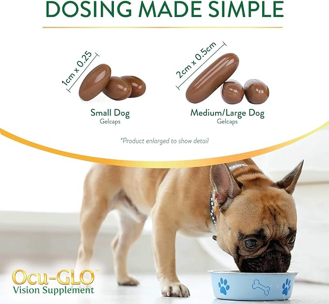 Medium to Large Dogs (11+ lbs)