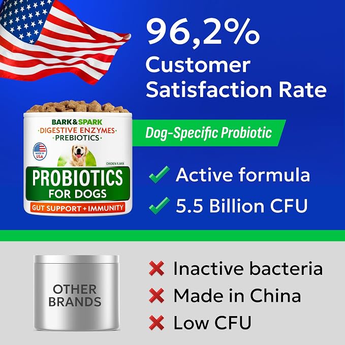 Probiotic Chews