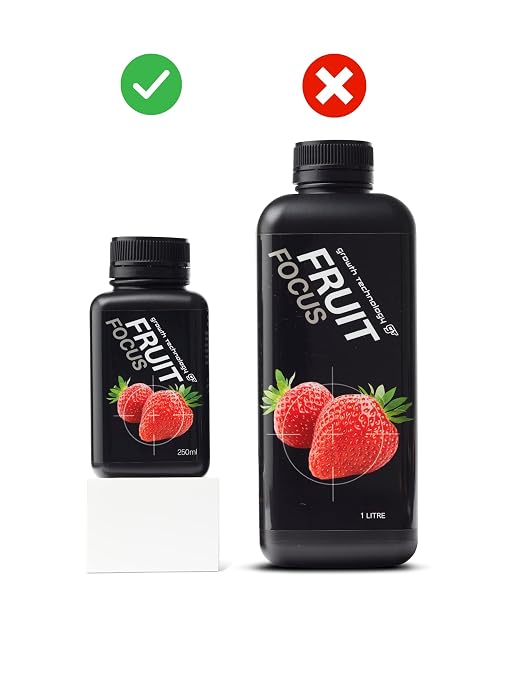 Fruit