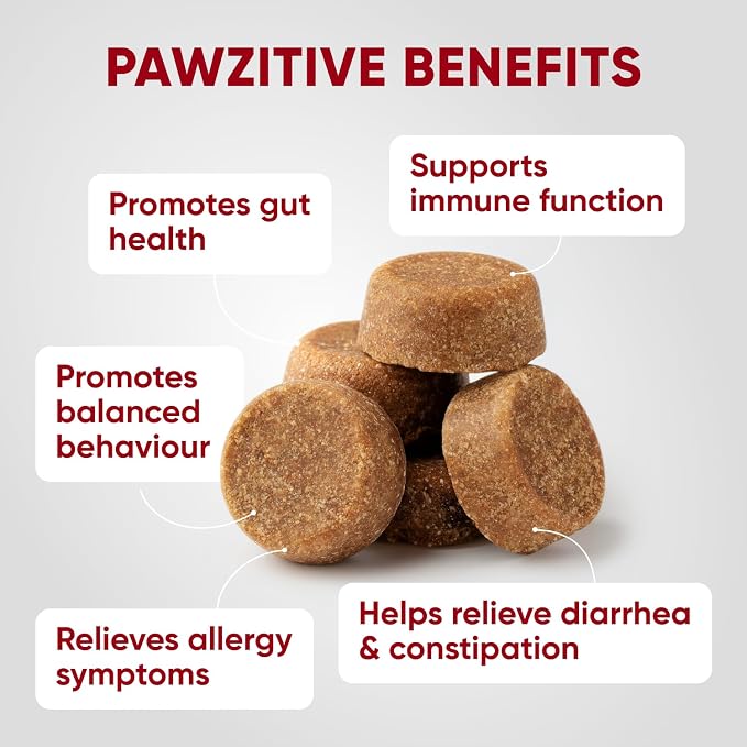 Probiotic & Enzymes Chews