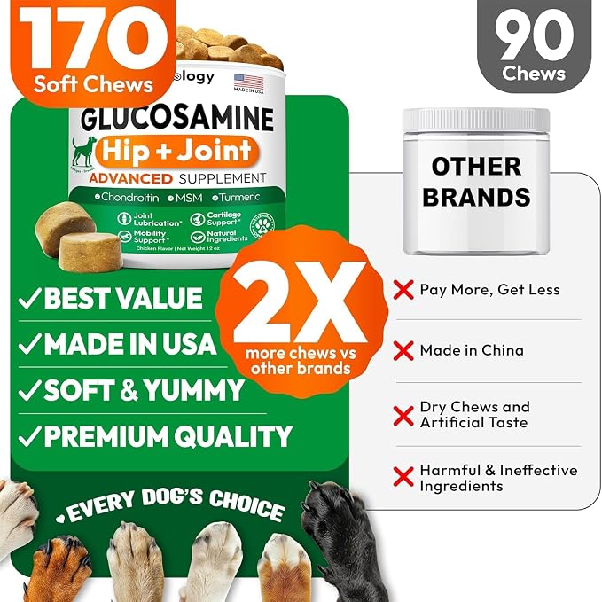Glucosamine Chews