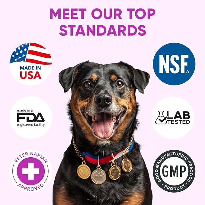 Allergy Support Chews