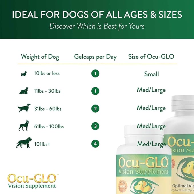 Medium to Large Dogs (11+ lbs)