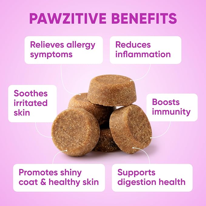 Allergy Support Chews