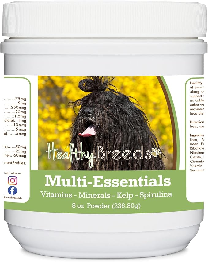 Bergamasco