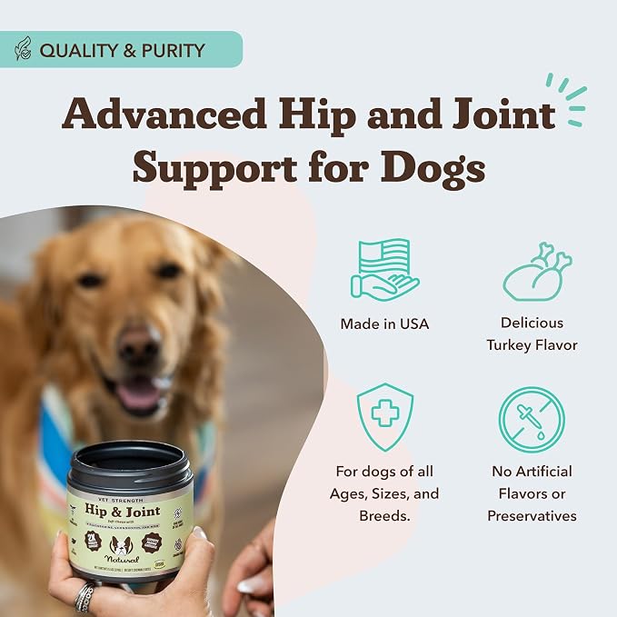 Vet Strength Hip and Joint