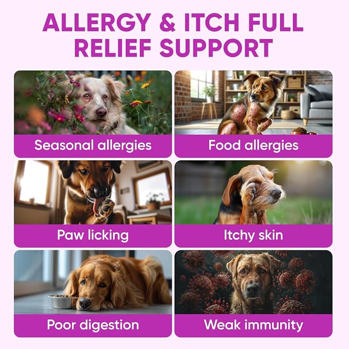 Allergy Support Chews