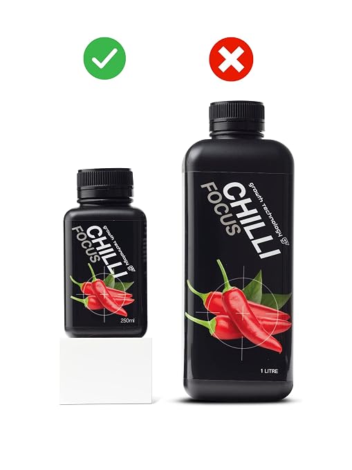 Chili